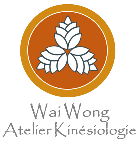 Logo Wai Wong Atelier Kinésiologie kinésiologue paris
